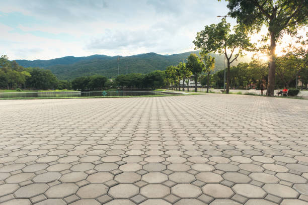 Best Driveway Pavers Near Me  in Lake Erie Beach, NY